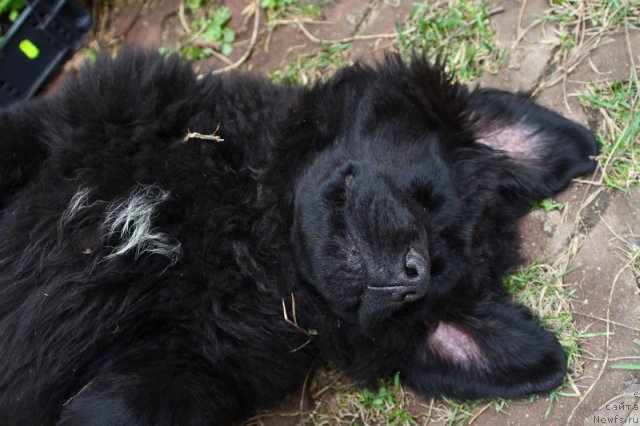 Фото: Uluwatu Devi Dan