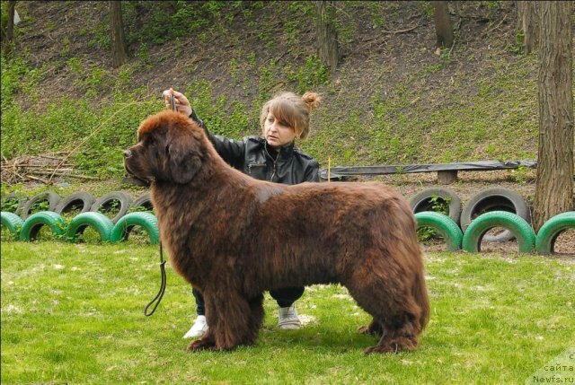 Фотография № 65867