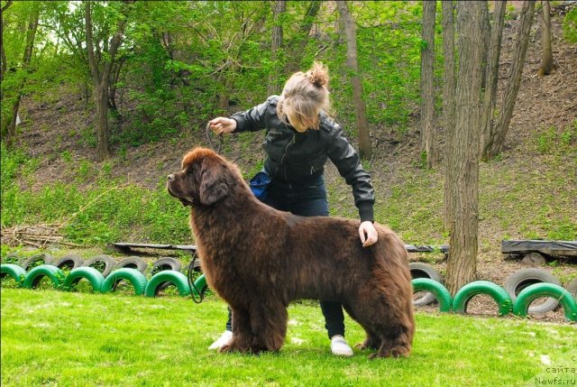 Фотография № 65868