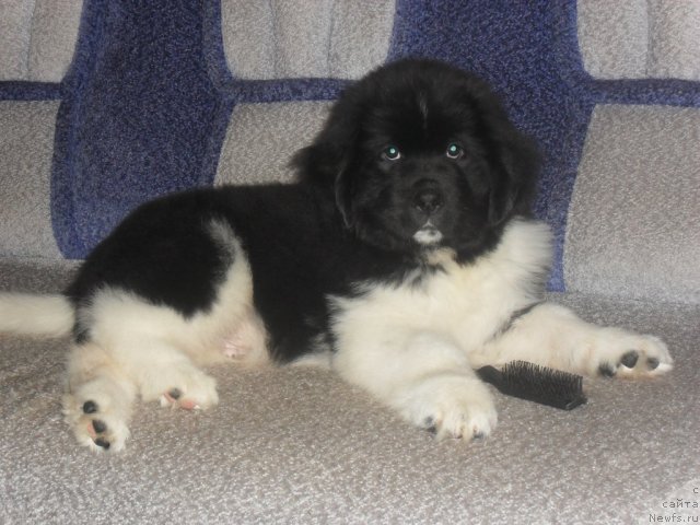 Фотография № 65900