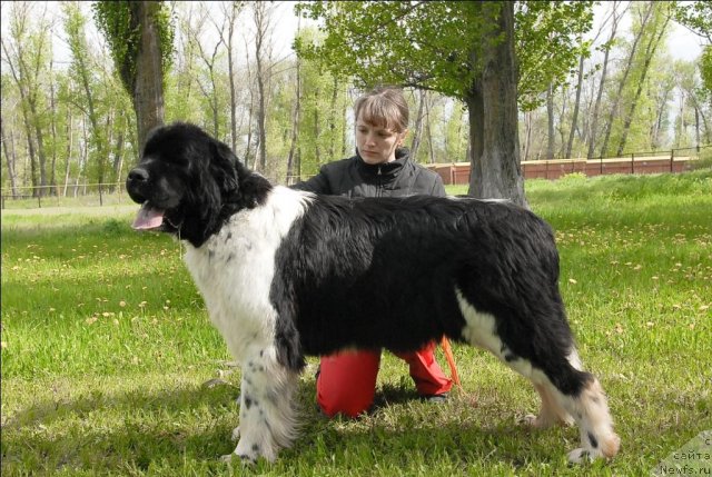 Фотография № 65915