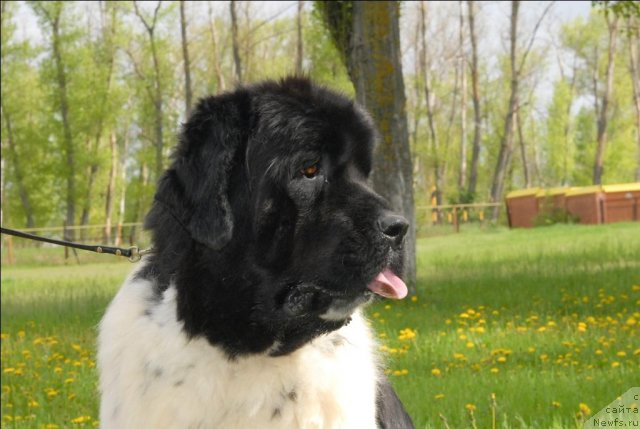 Фотография № 65921