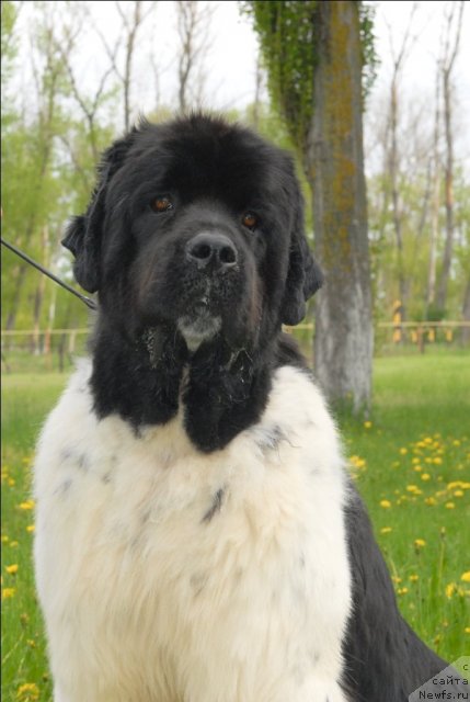 Фотография № 65924