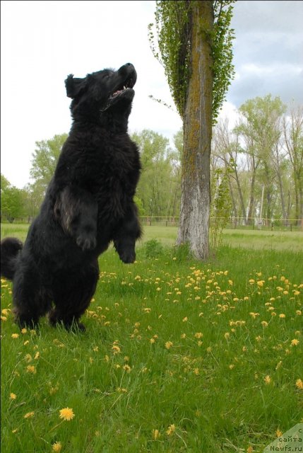 Фотография № 65930