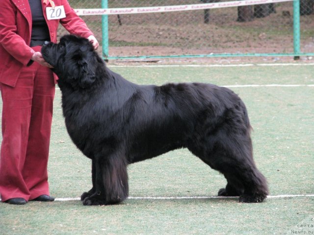 Фотография № 65993