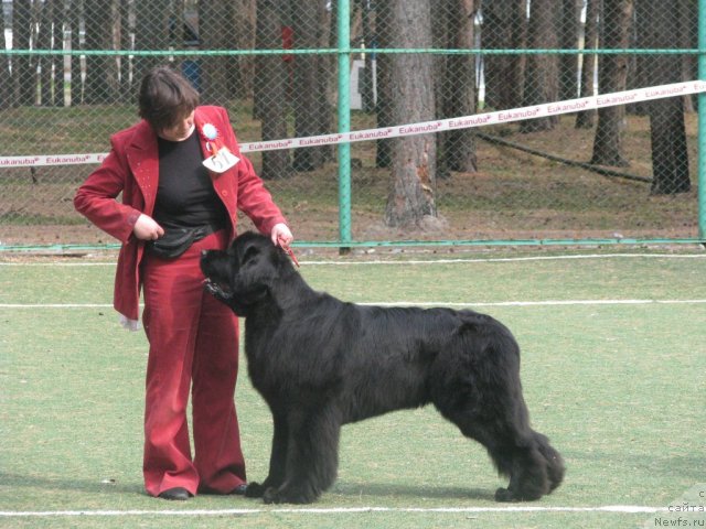 Фотография № 66002