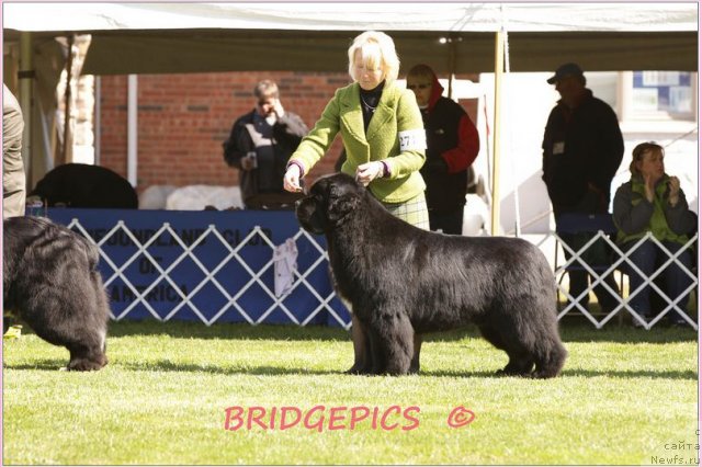 Фотография № 66021