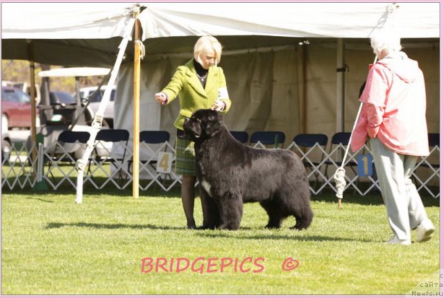 Фотография № 66022