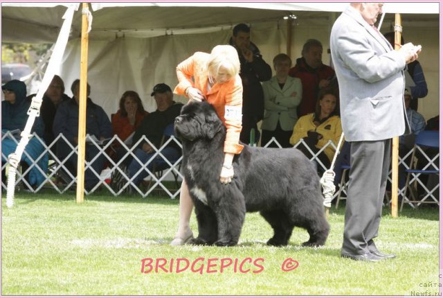 Фотография № 66024