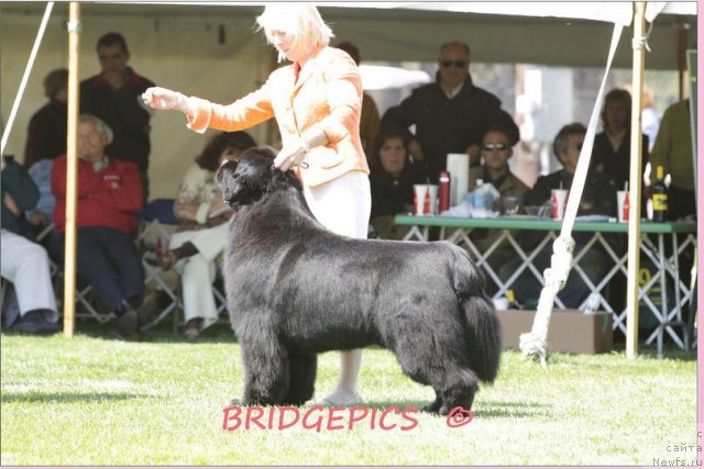 Фотография № 66025