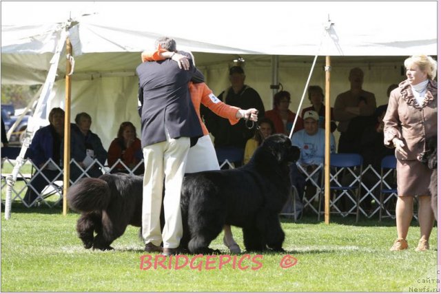 Фотография № 66027