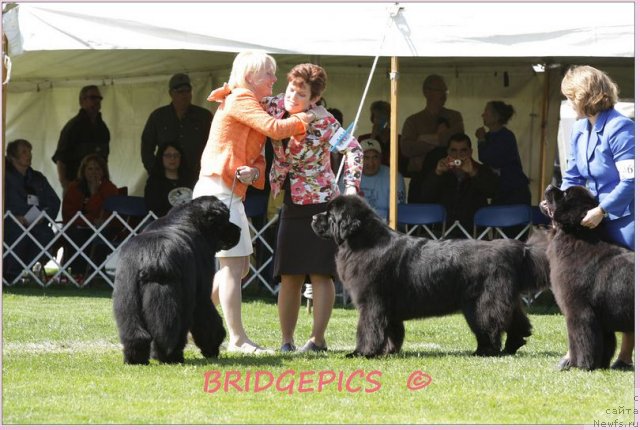 Фотография № 66028