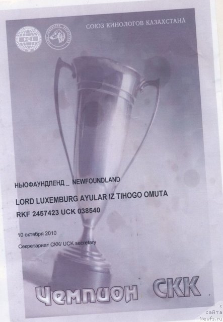Фото: ньюфаундленд Lord Luxemburg Ayular iz Tihogo Omuta (Лорд Люксембург Аюлар из Тихого Омута)