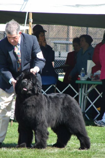 Фотография № 66060