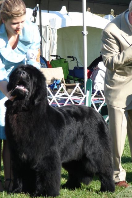 Фотография № 66066