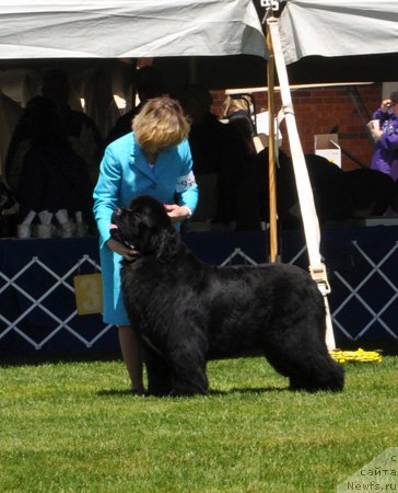 Фотография № 66068