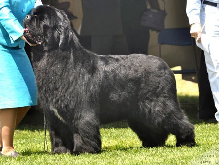 Фотография № 66069