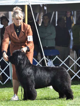 Фотография № 66070