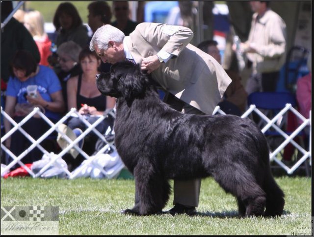 Фотография № 66071