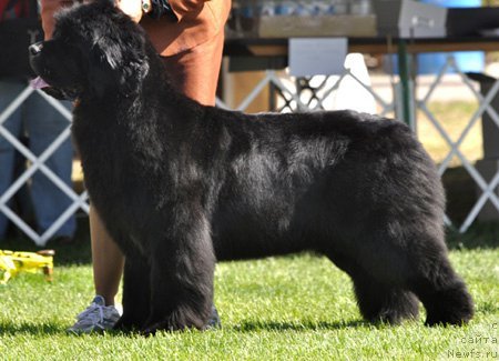 Фотография № 66087