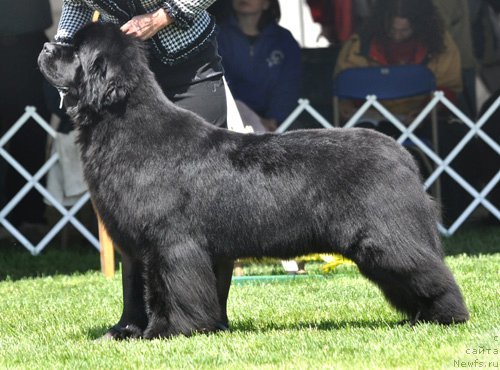 Фотография № 66110