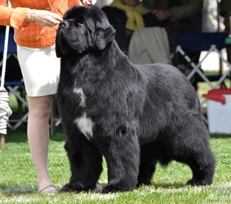 Фотография № 66116