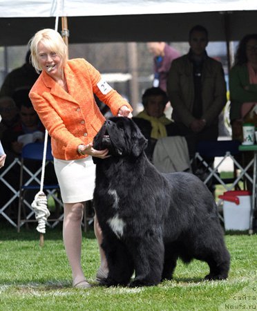 Фотография № 66117