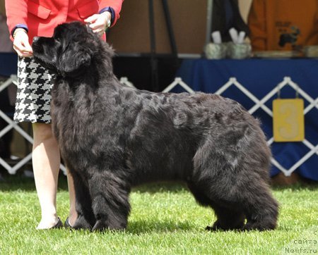 Фотография № 66122