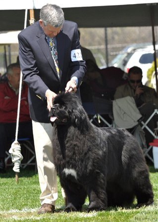 Фотография № 66123