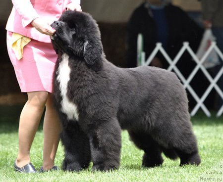 Фотография № 66126