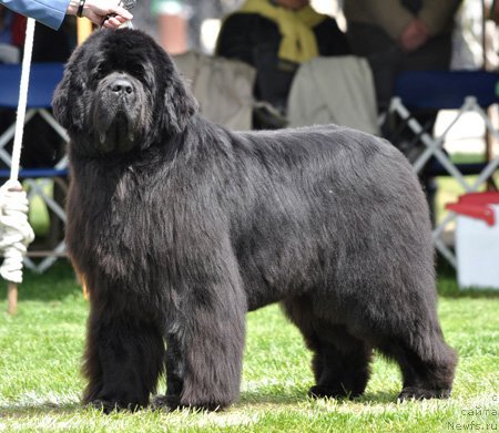 Фотография № 66128