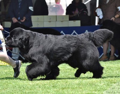 Фотография № 66129