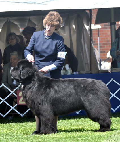 Фотография № 66132