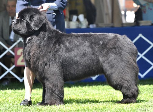 Фотография № 66133