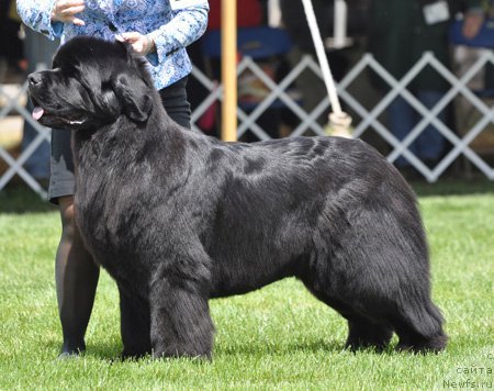 Фотография № 66139