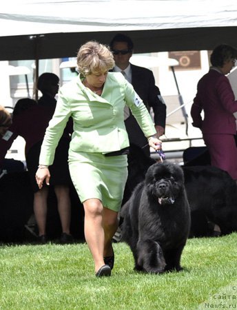 Фотография № 66144