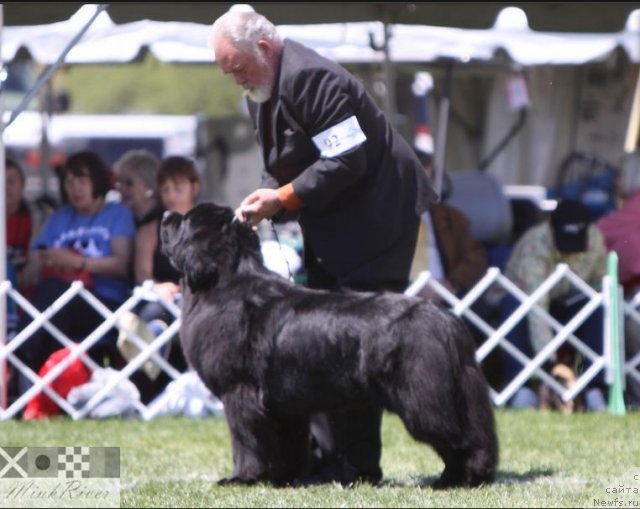 Фотография № 66156