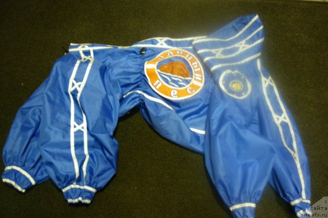 Фотография № 66161