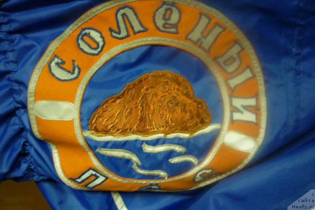 Фотография № 66162