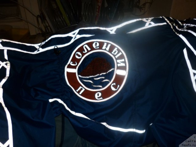 Фотография № 66170