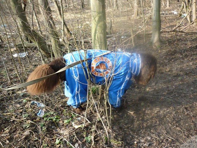 Фотография № 66172