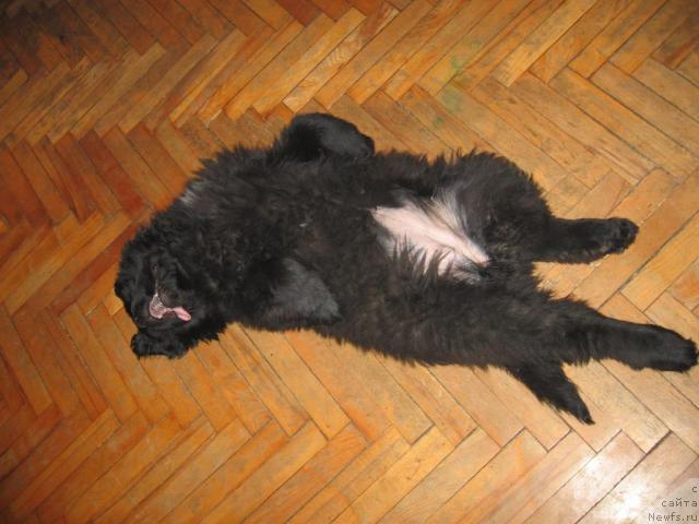 Фотография № 6618