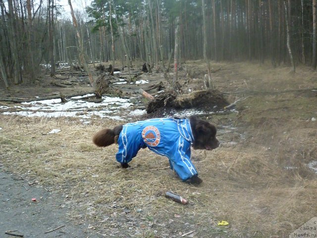 Фото: [d9243]24.04.2011.