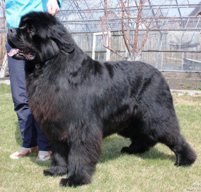 Фотография № 66183