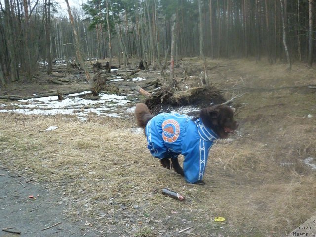 Фотография № 66184