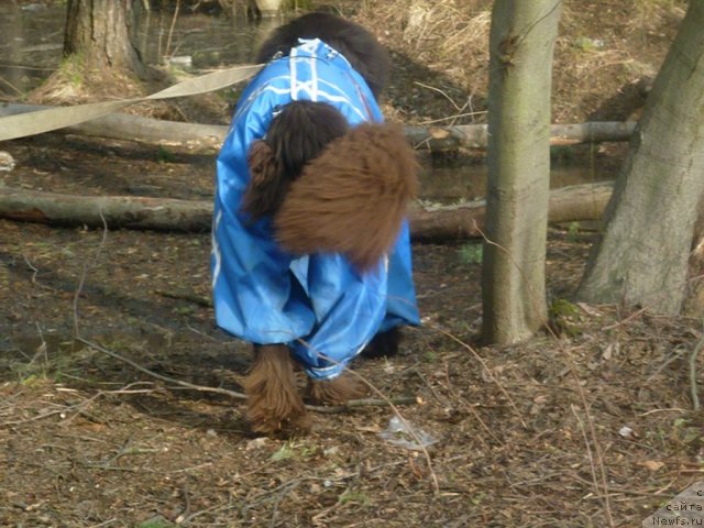 Фото: [d9243] 24.04.2011.