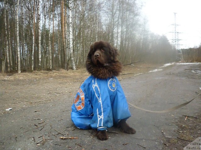 Фотография № 66187