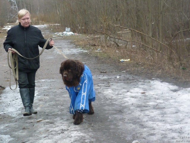 Фотография № 66189