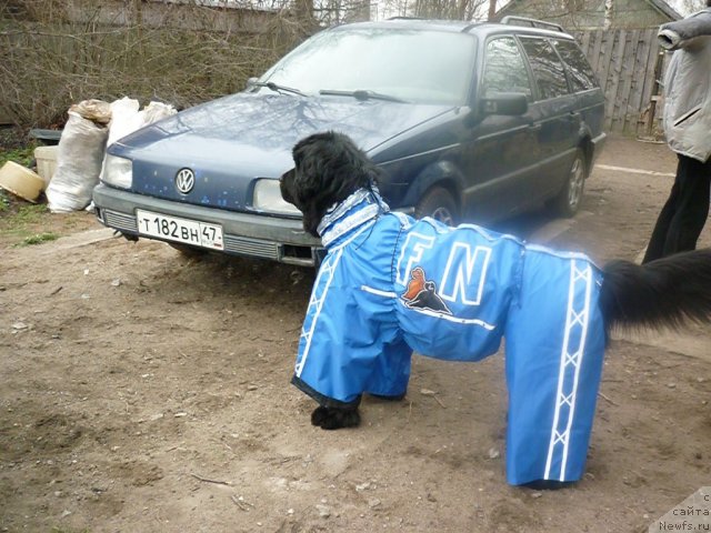 Фотография № 66195