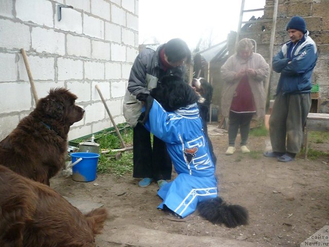 Фотография № 66202